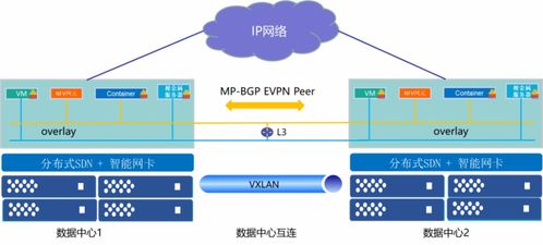 智能网卡在分布式SDN网络中的应用与实践 以龙蜥技术为例的探索