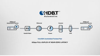 深圳市沛城电子科技 领航网络技术开发新纪元